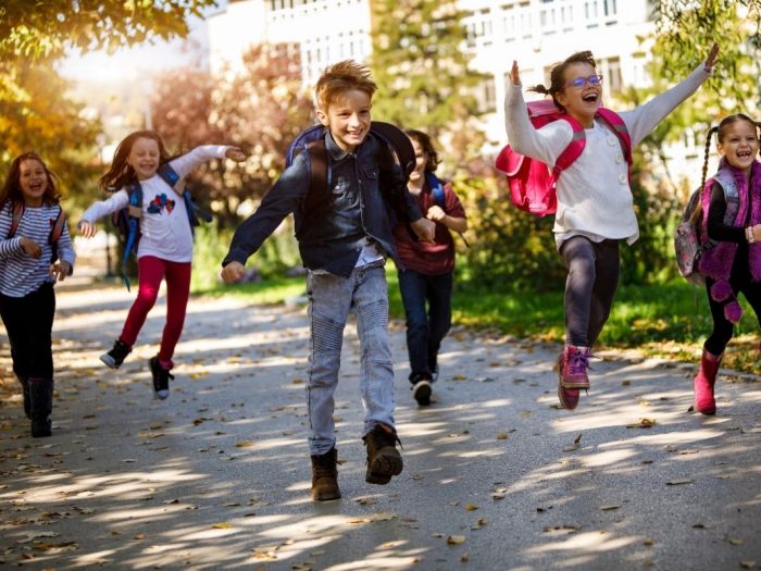 What Is a Healthy School